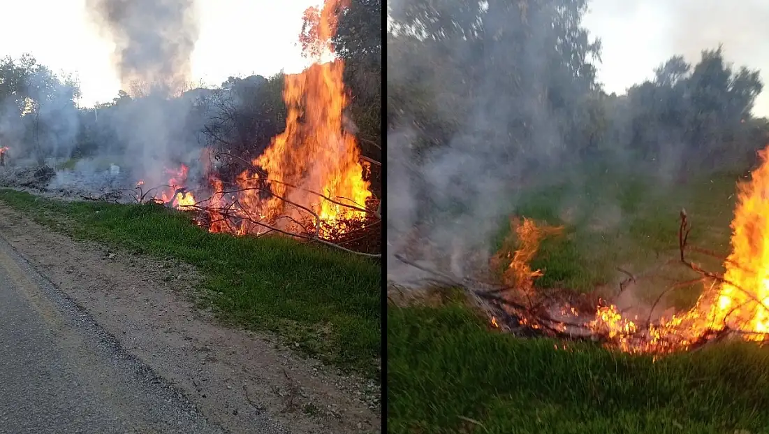 Milas Fesleğen’de Çıkan Yangın Hızla Söndürüldü