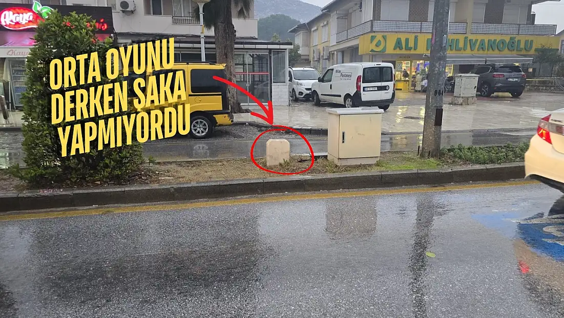 Milas’ın Ortasındaki Mezar Taşı: Tarihi Bir Değer mi Unutulmuş Bir Miras mı?