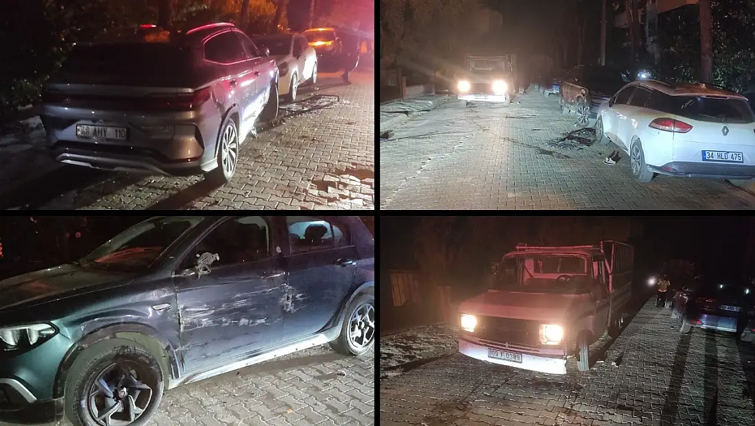 Milas’ta Mahalleyi Sarsan Kaza: Kamyonet Üç Aracı Pert Etti 1 Kişi Yaralandı