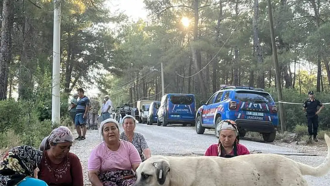 Akbelen Ormanlarına sabaha karşı baskın yapıldı