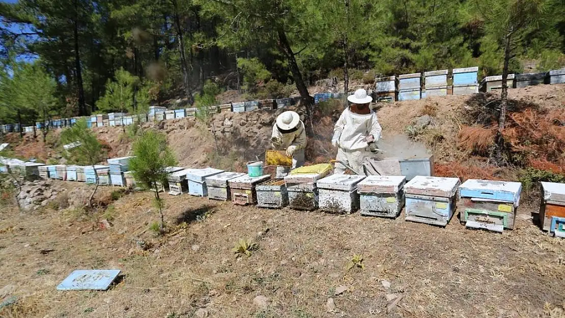 Arıcılara “İlkbahar” Uyarıları