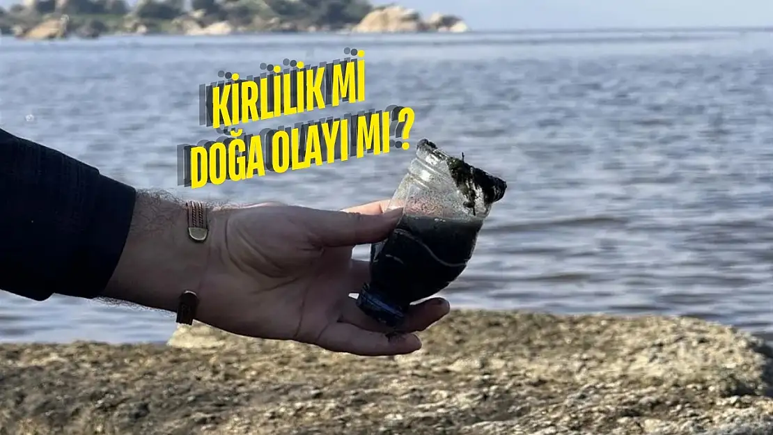 Bafa Gölü'nün Rengi Değişti! Gerçek Numunelerde Ortaya Çıktı