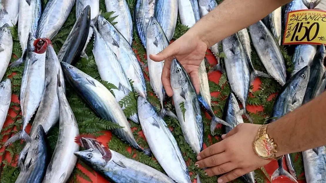 Balık Sezonu Başladı: Sağlığınıza Katkı Sağlayan 10 Önemli Faydası