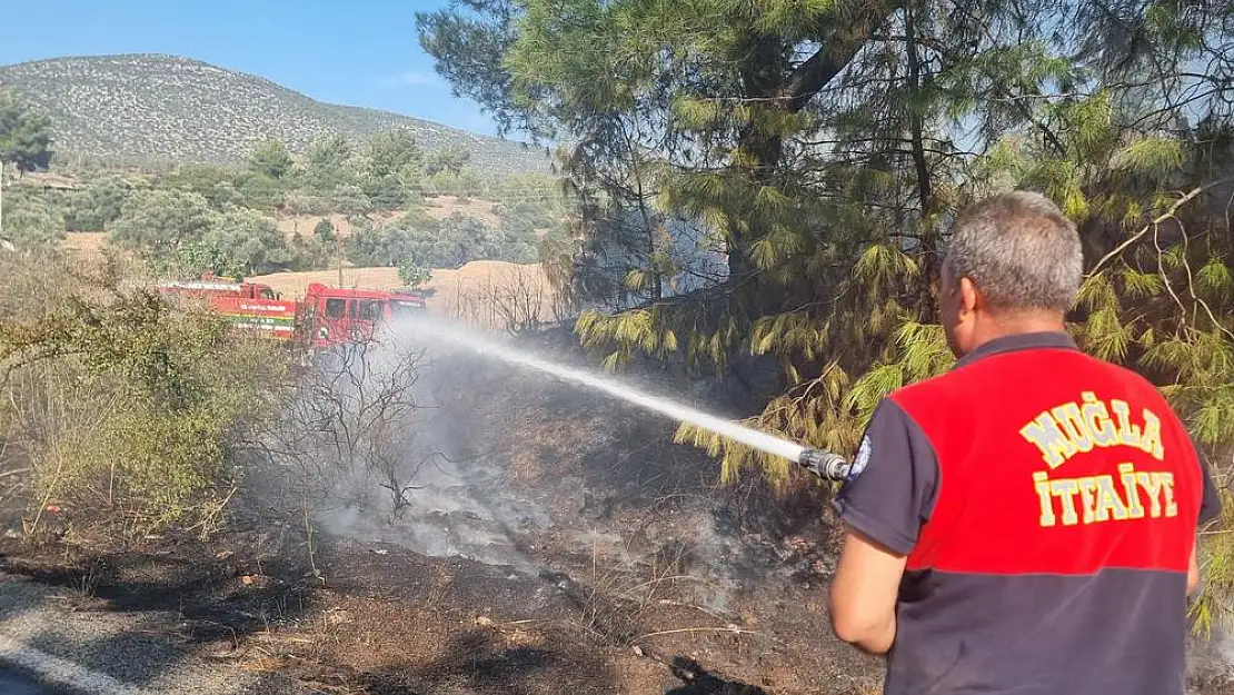 Beçin'de Orman Yangını