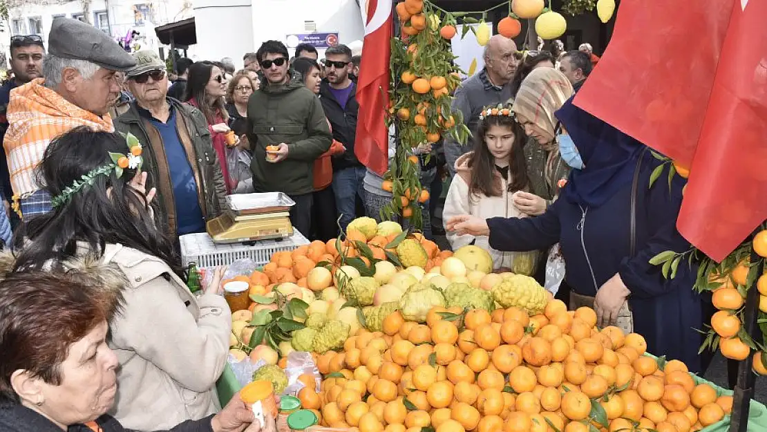 Bodrum’da Sadece Mandalin Festivali düzenlendi