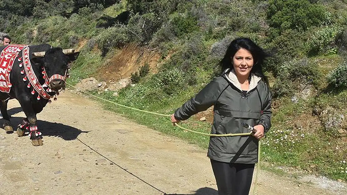 ‘Boğaların efesi’ Buse’yi ‘Goca Çınar’ ile gören bir daha bakıyor