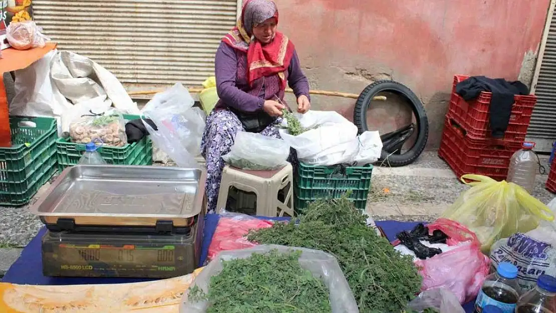 Dağ kekikleri tezgahlarda yerini aldı