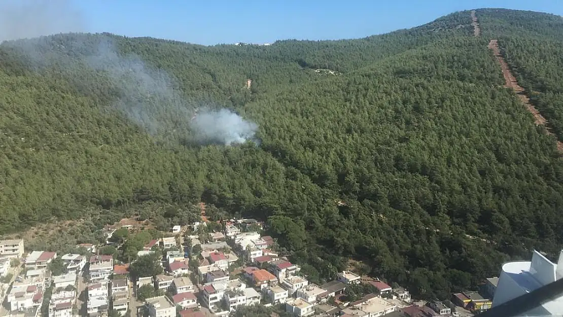 Güvercinlik’te Orman Yangını Başladı