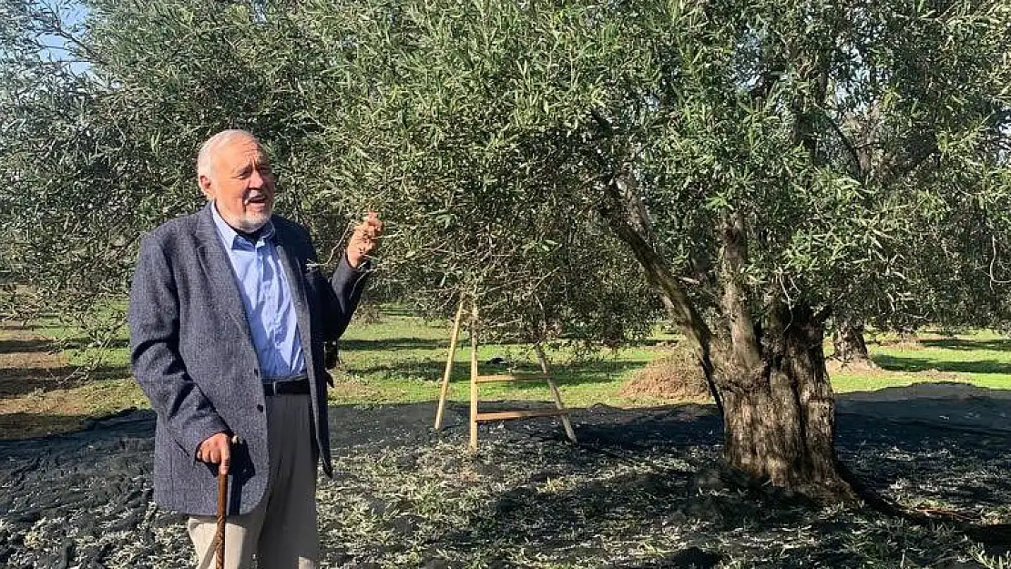 İlber Ortaylı’dan Zeytinlikler ve Akbelen Ormanlarına Çağrı: ‘Doğal Mirasımızı Koruyalım!’