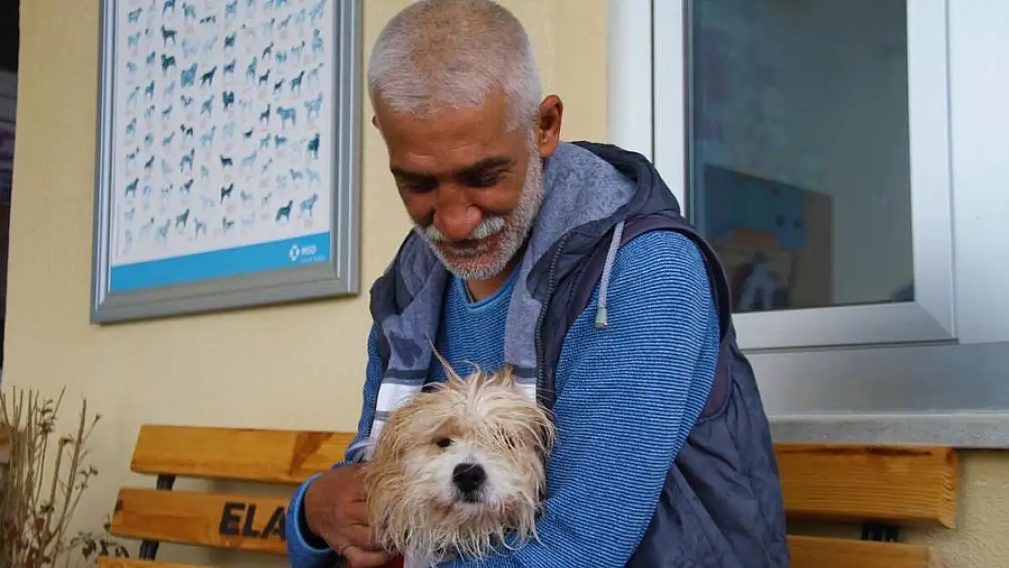 “Kayıp Terrier, 1309 Km Sonra Mutlu Kavuşma: Çipin Önemi Bir Kez Daha Anlaşıldı”