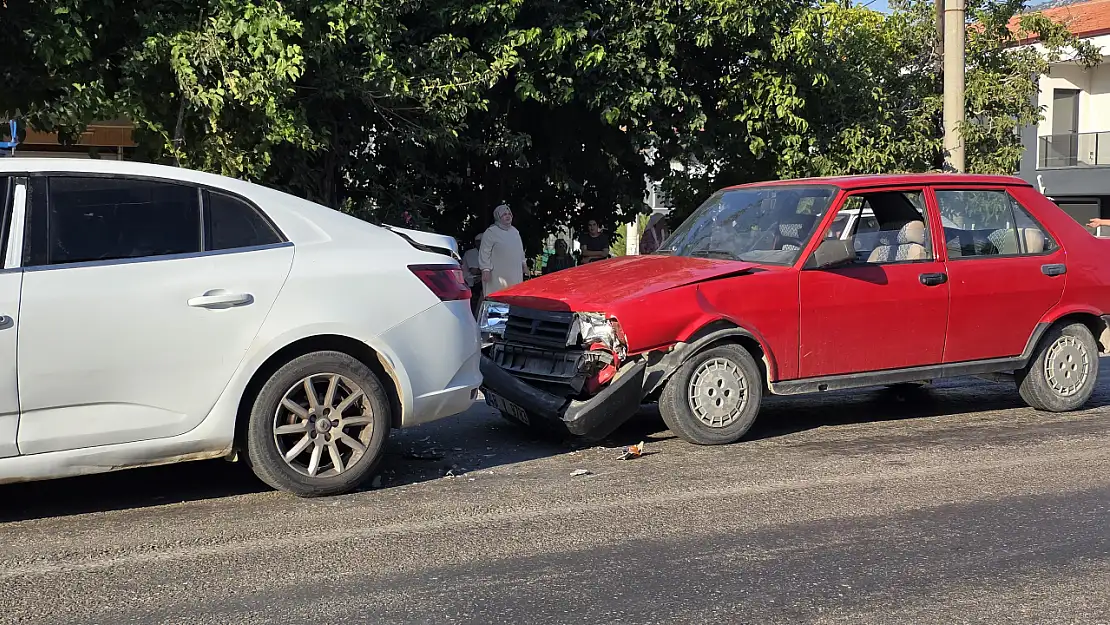 Kediyi Kurtarmak İstedi, Kaza Kaçınılmaz Oldu