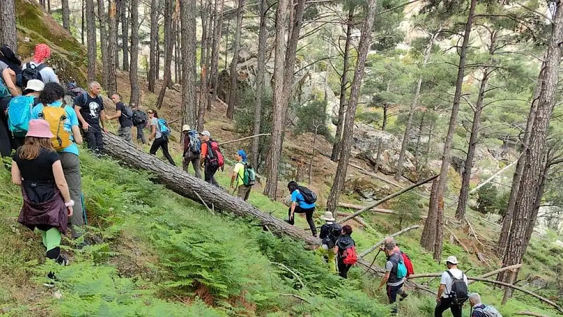 Latmos Şenliği'ne katılan 750 yürüyüşçü Karia Yolu'nda yürüdü.