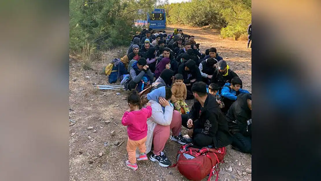 Milas Akbelen Mevkii’nde : 71 Kaçak Göçmen ve İki Organizatör Yakalandı