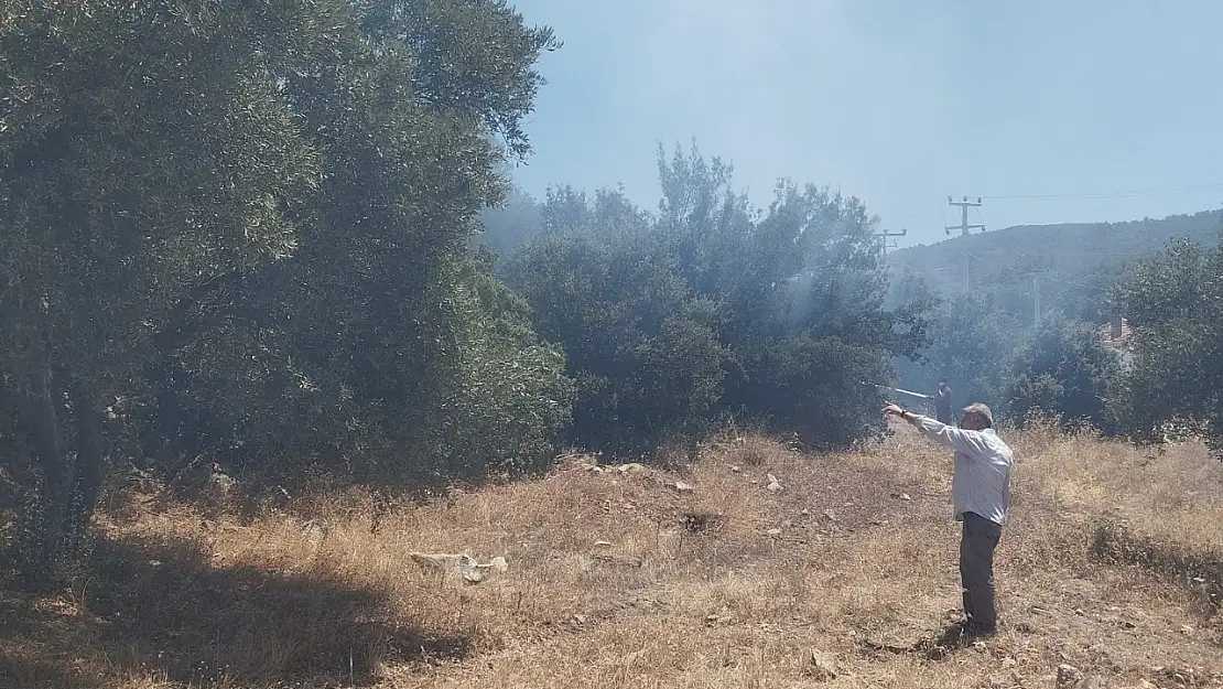 Milas Aslanyakası'nda Makilik Alanda Yangın Çıktı: Ekipler Seferber Oldu