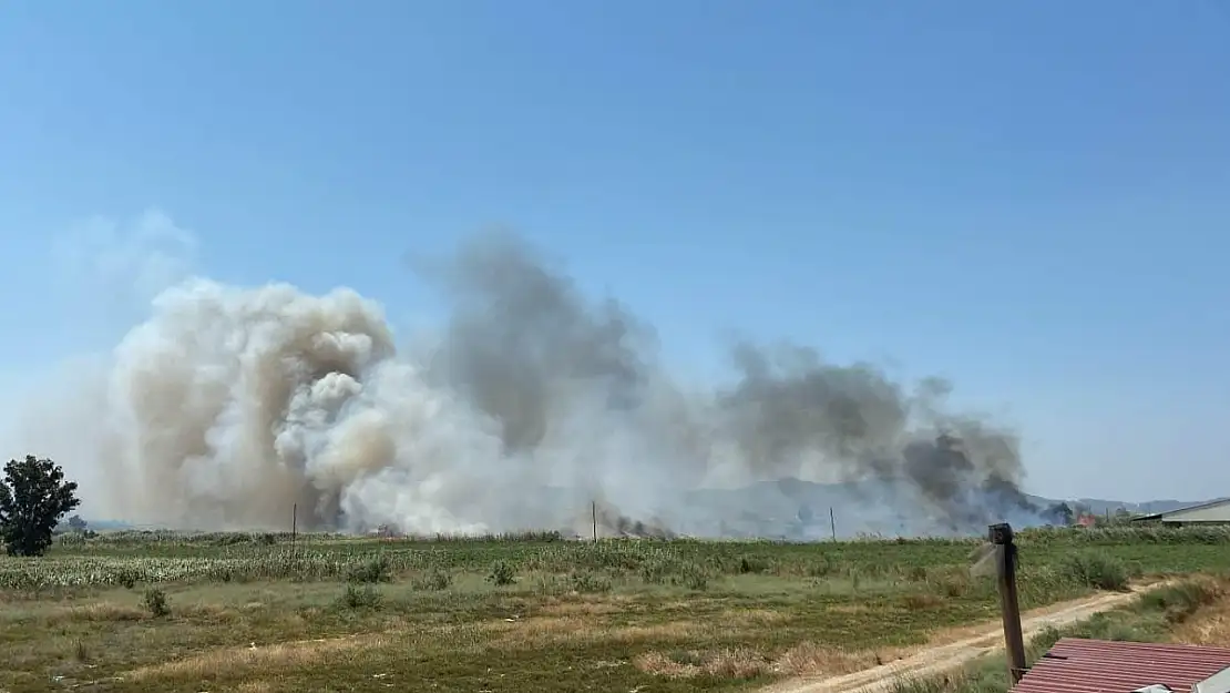 Milas Avşar Mahallesi'nde Otluk Alanda Çıkan Yangın Büyüyor