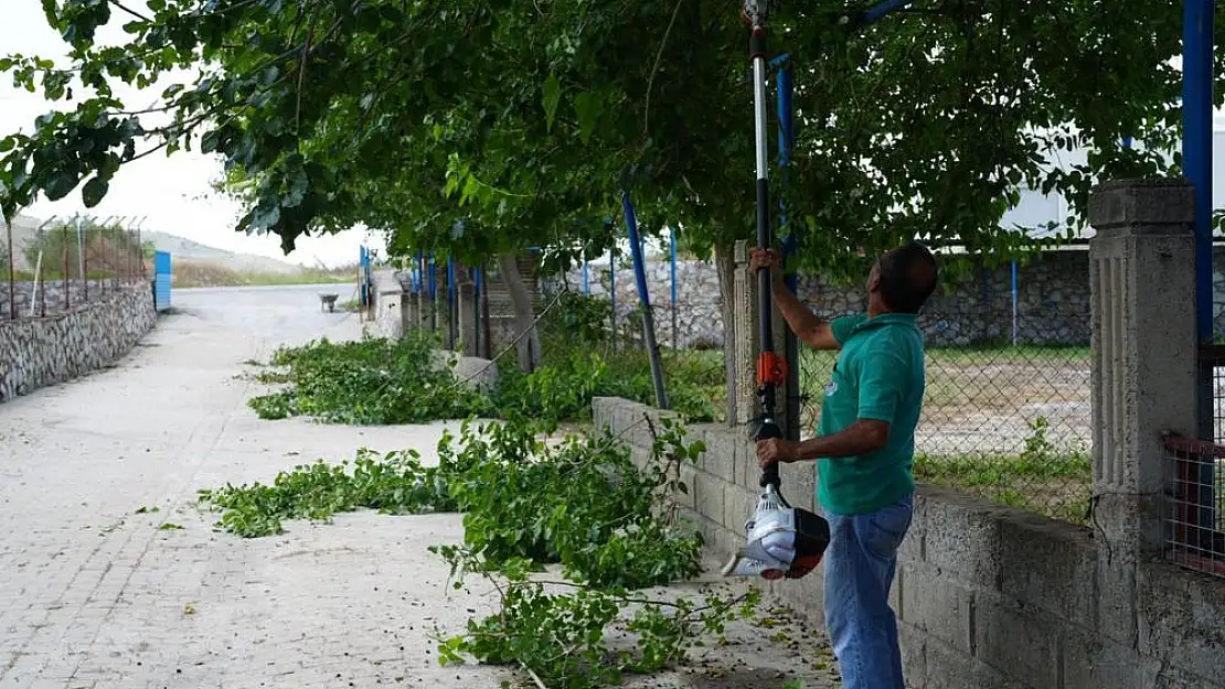 Milas Belediyesi, Kurban Pazarını Bayrama Hazırladı