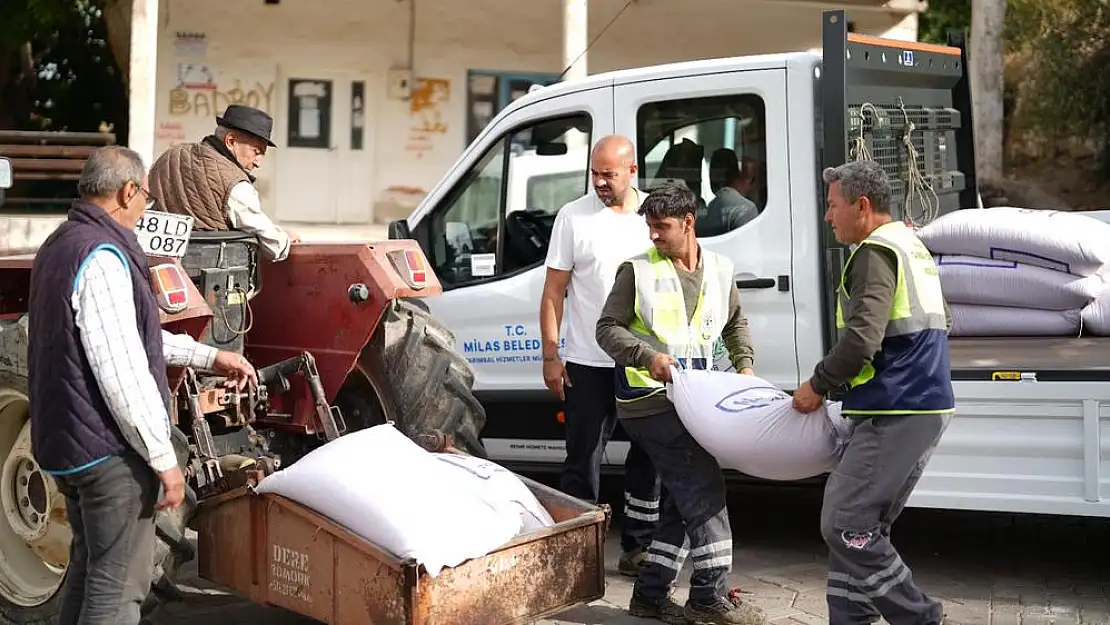 Milas Belediyesi’nden Çiftçilere %50 Hibeli Buğday ve Tritikale Tohum Desteği