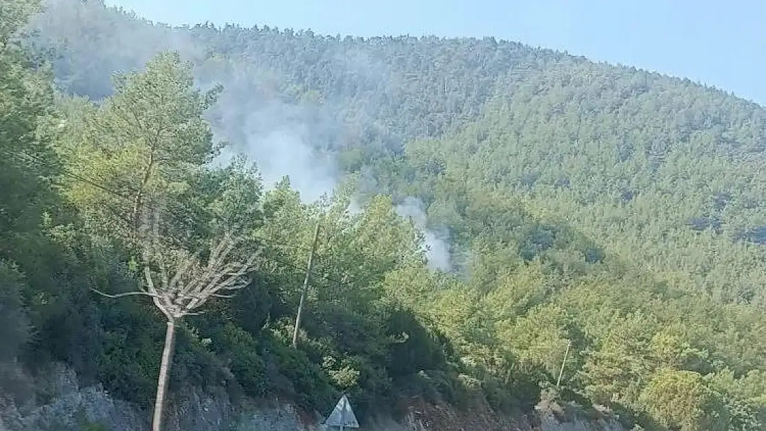 Milas Bodrum karayolu kenarında çıkan yangın, büyümeden söndürüldü