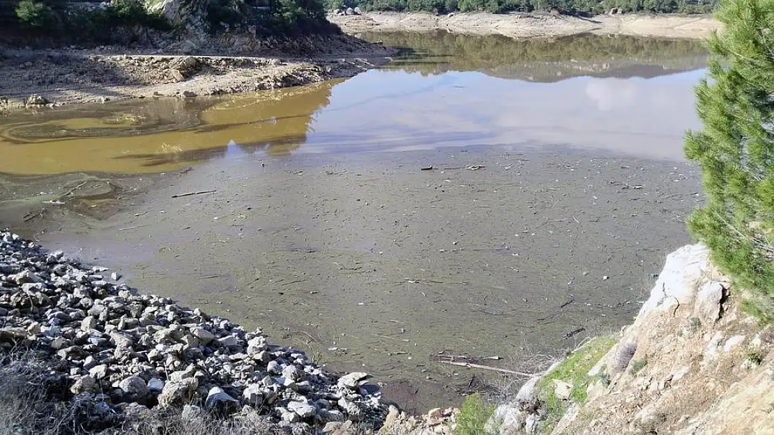 Milas Geyik Barajı'nda kirlilik Alarmı