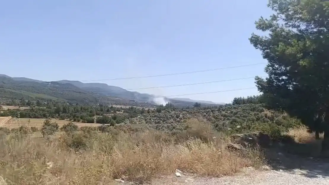 Milas'ın Çamköy Mahallesi Mevkiinde Orman Yangını Başladı