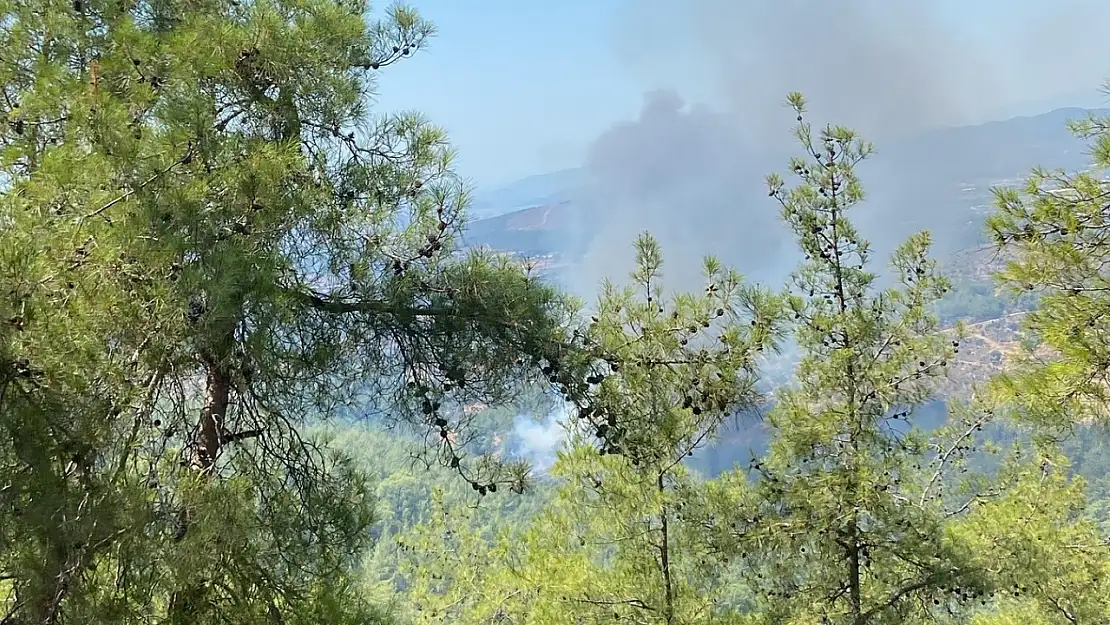 Milas'ın Demirciler Mahallesi Yakınlarında Orman Yangını Başladı