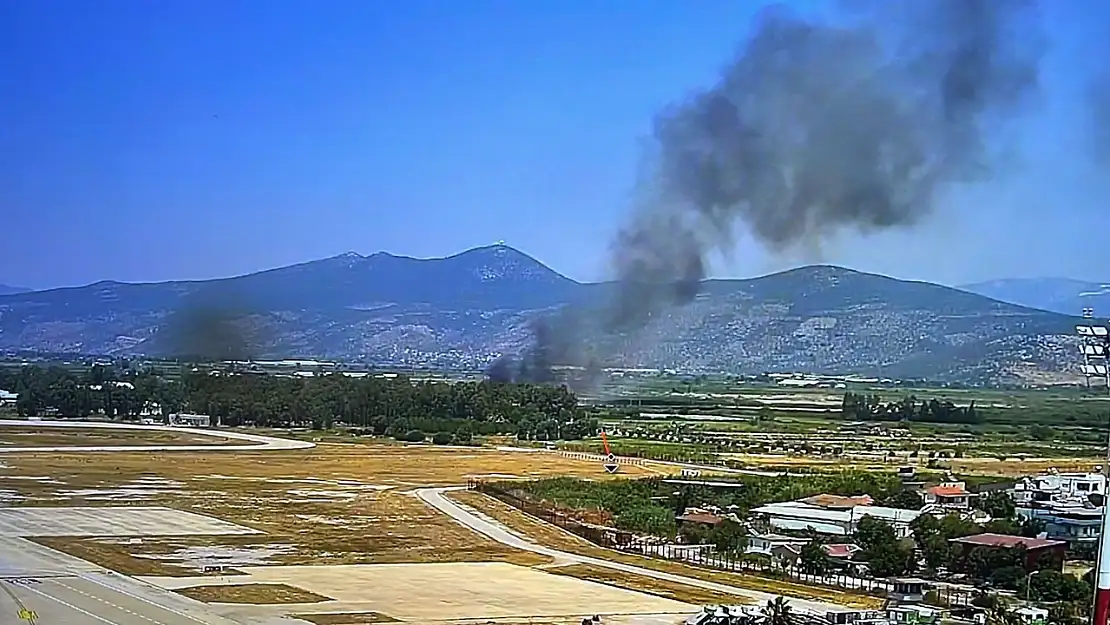 Milas'ın Ekinambarı Mahallesi'nde Yangın Paniği