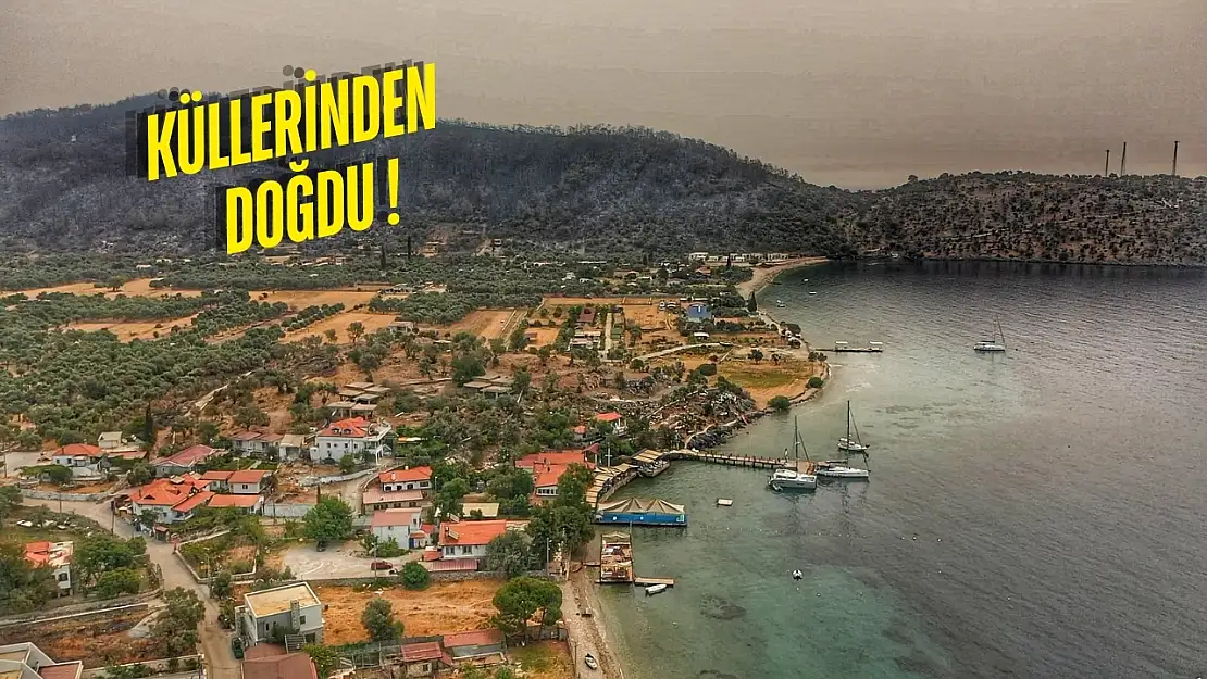Milas'ın en serin kaçış noktası belli oldu: Yangından kurtulan cennet