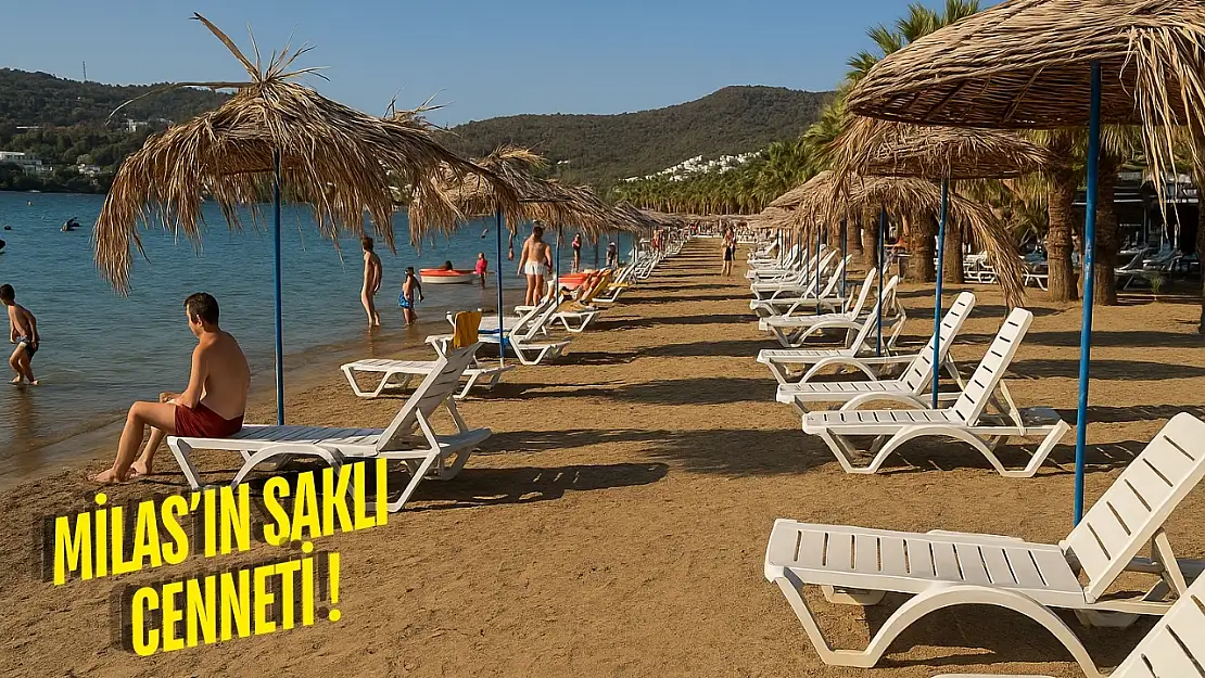 Milas'ın suyu en berrak plajı belli oldu: Gören hayran kalıyor