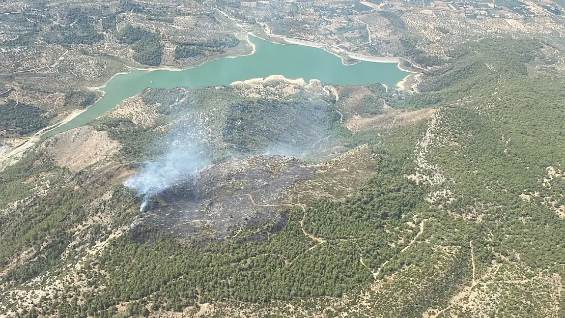 Milas'ın Yusufca Mahallesi Yakınlarında Orman Yangını: Müdahale Devam Ediyor..