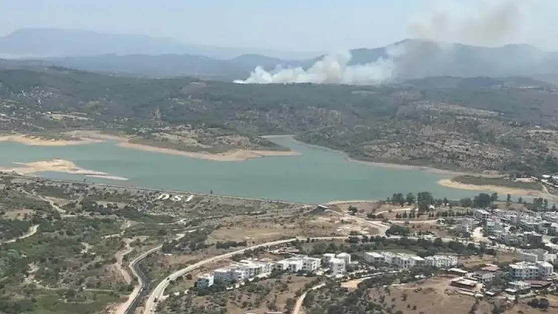 Milas Kısırlar'da Orman Yangını Başladı