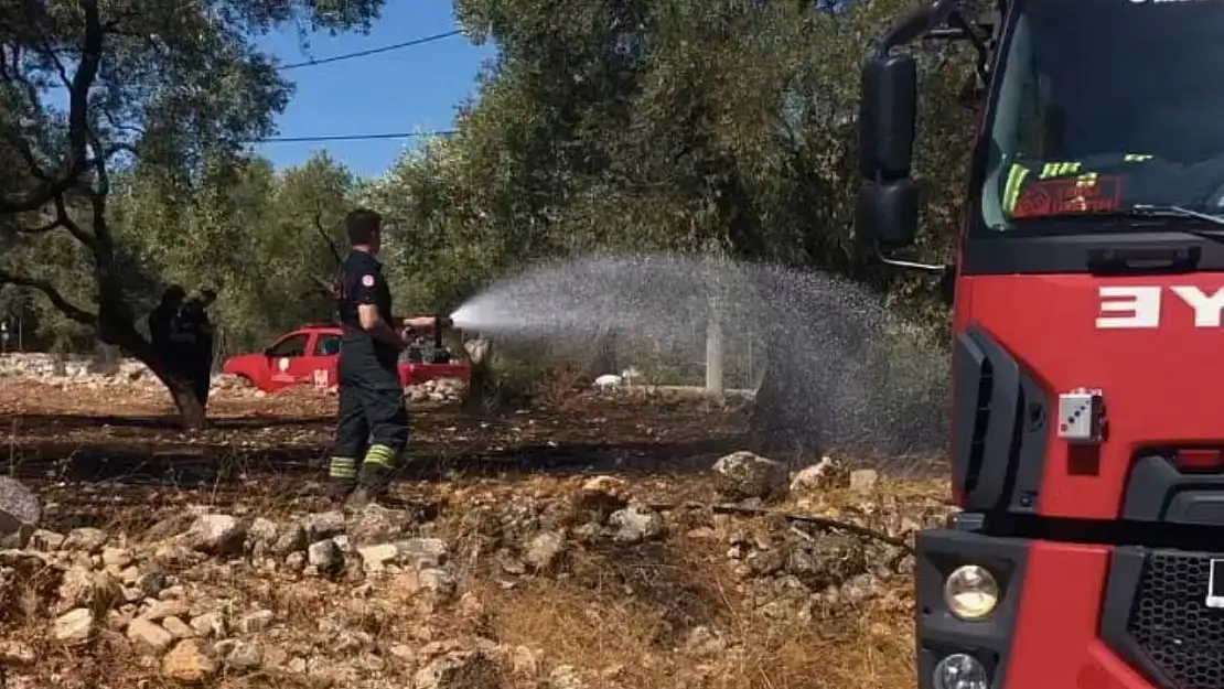 Milas Menteş'te Söndürülmeden Atılan Sigara İzmariti, Otluk ve Makilik Alanda Yangın Çıkardı