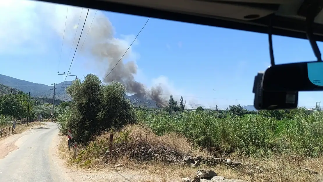 Milas Pınarcık'ta Makilik ve Zeytinlik Alanda Yangın Çıktı
