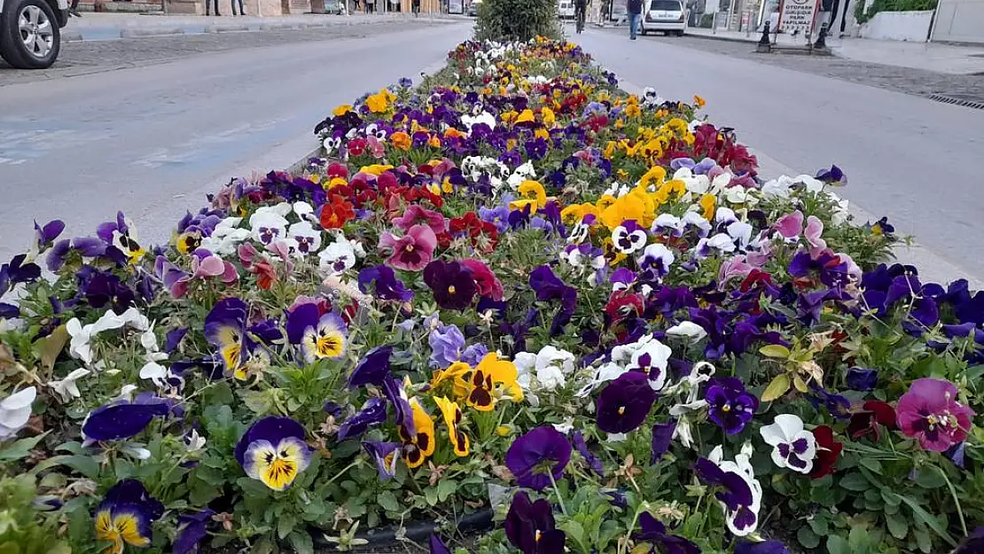 Milas Sokaklarına Bahar Geldi…