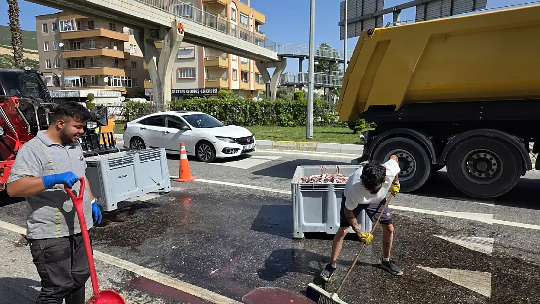 Milas'ta balık yüklü kamyonun kasası açıldı, tonlarca balık yola döküldü