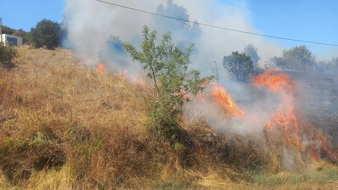 Milas'ta Elektrik Direği Yangına Neden Oldu
