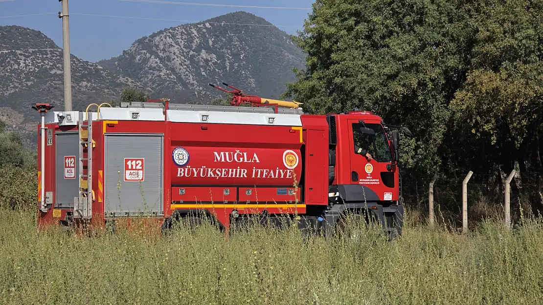 Milas'ta Elektrik Telleri Yangın Çıkardı: Otluk Alan Alev Aldı