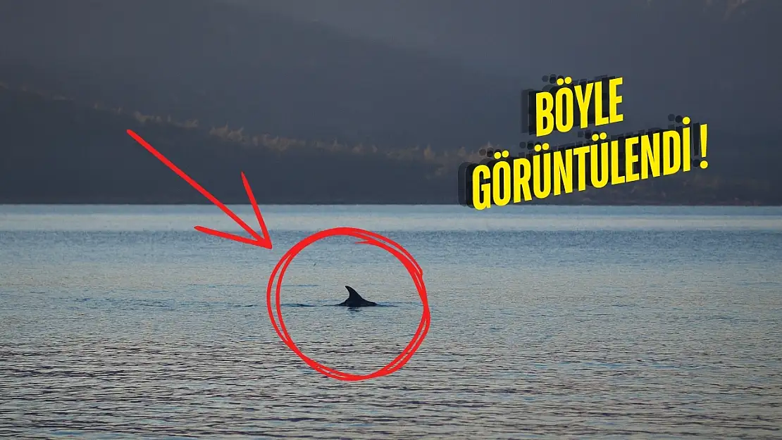 Milas'ta Eylül Sakinliğiyle Doğa Yeniden Sahneye Çıktı