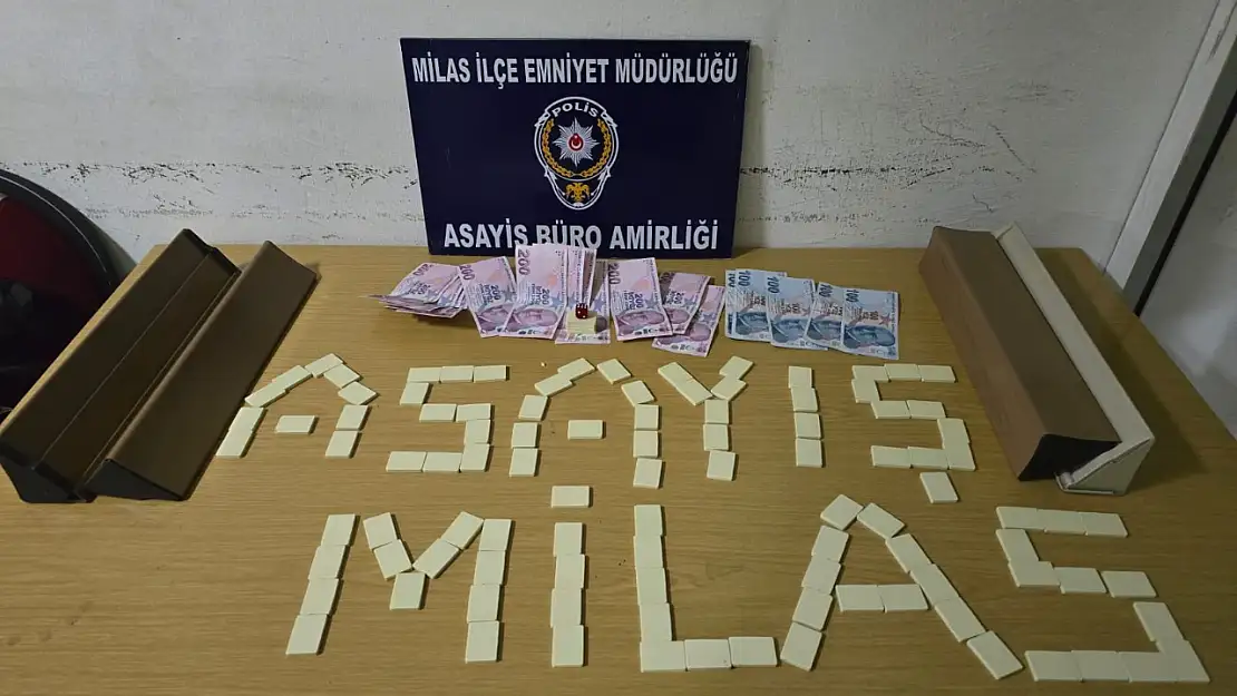 Milas'ta Kumar ve Sigara İhlaline Geçit Yok: Yüklü Para Cezası Kesildi