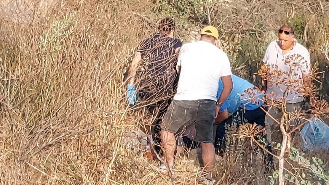 Milas'ta Motosiklet Faciası: Uçurumdan Yuvarlanan Genç Sürücü Ağır Yaralandı
