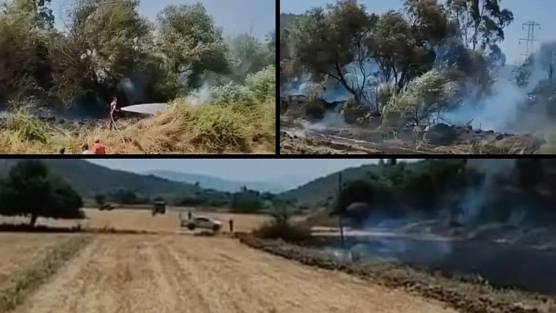 Milas'ta Otluk Alanda Başlayan Yangın Zeytinliğe Sıçradı