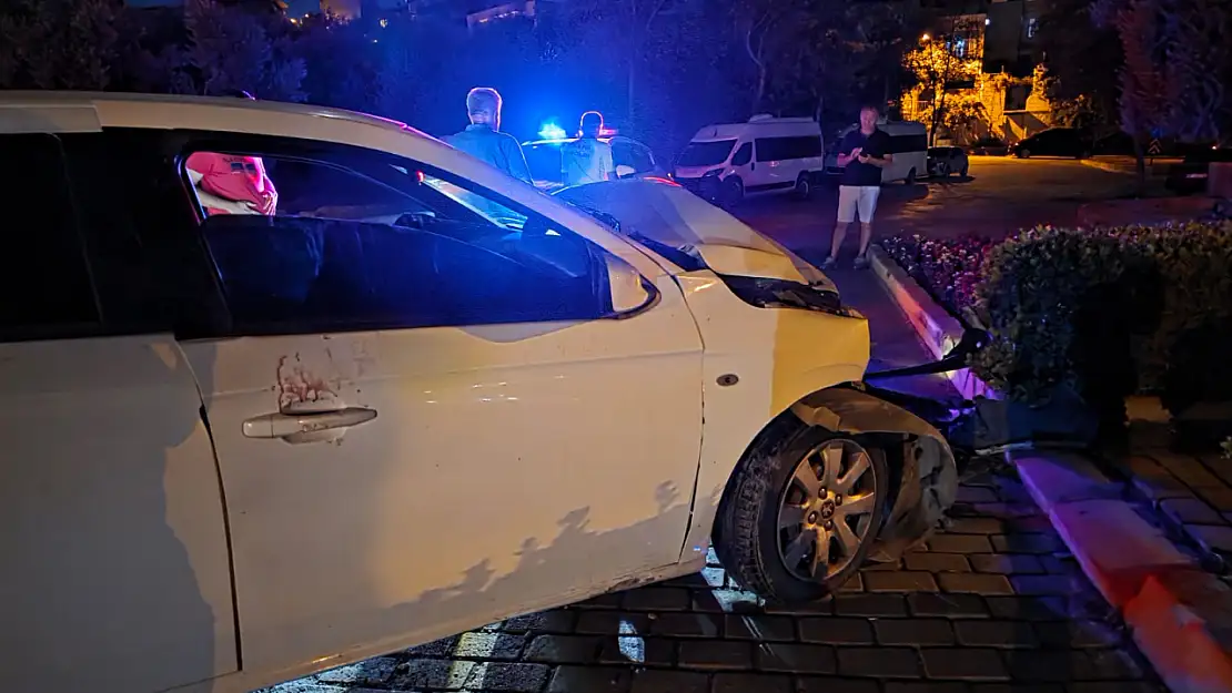 Milas'ta Otomobil ve Kamyonet Kafa Kafaya Çarpıştı: 1 Kişi Yaralandı