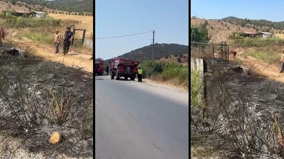 Milas'ta Sazlık ve Makilik Alanda Yangın Paniği