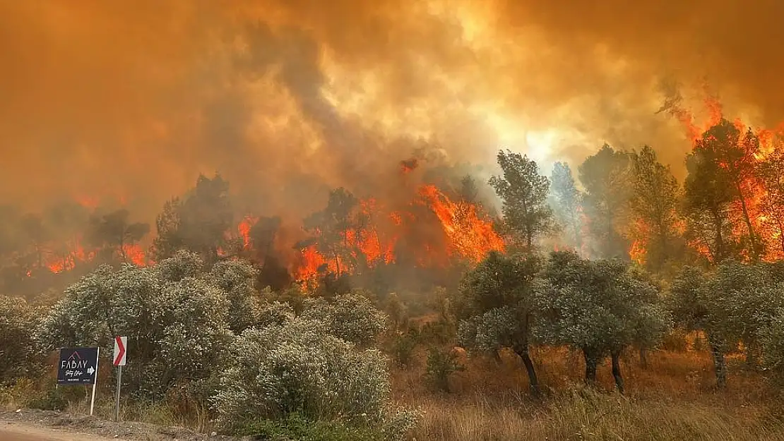 Milas’ın Boğaziçi Mahallesi’nde Çıkan Yangın Kontrol Altına Alınmaya Çalışılıyor