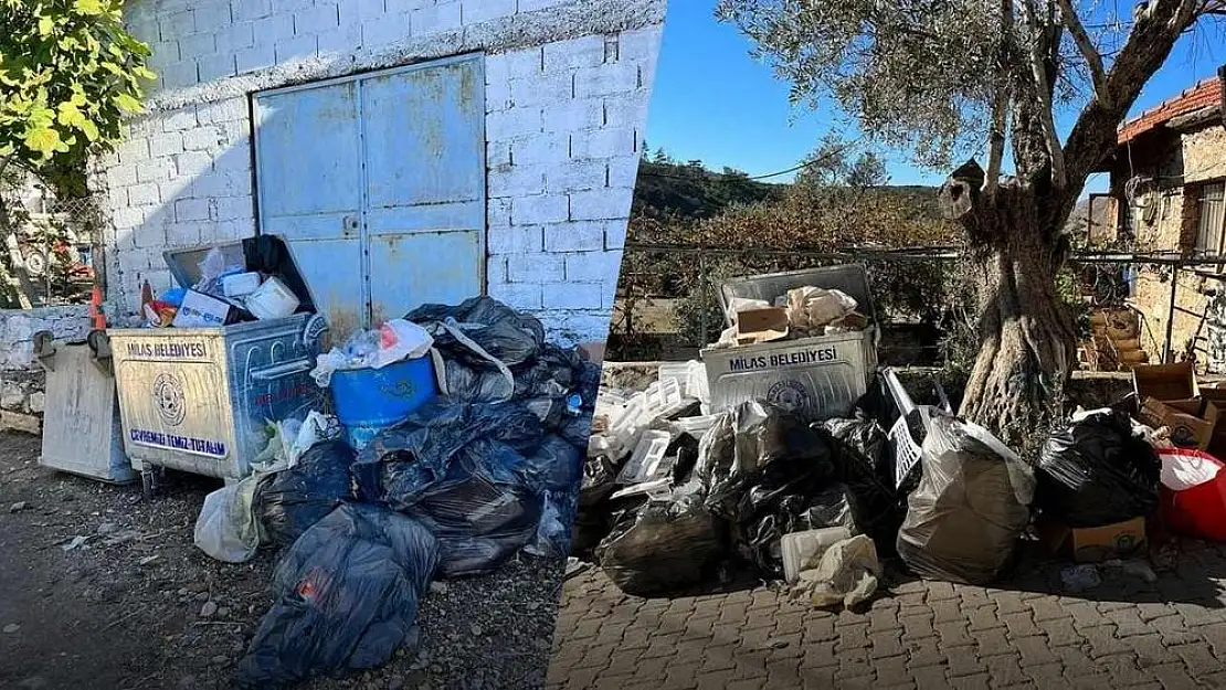 Çökertme’de Çöp Dağları: Milas’ın Cennet Köşesinde Hizmet Aksaklığı