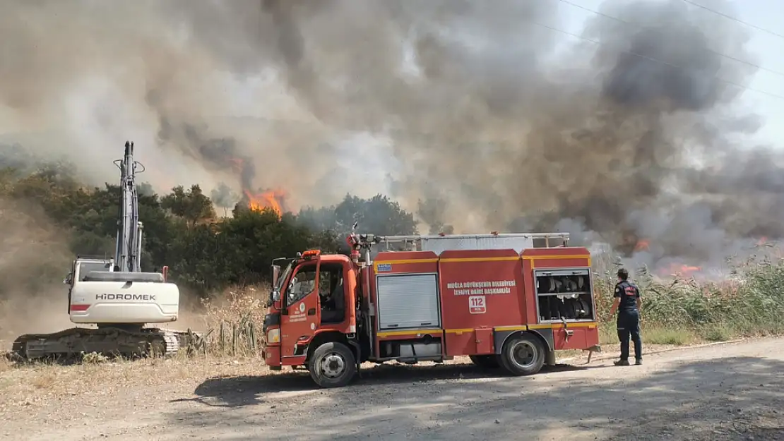 Milas'ın Güllük Mahallesi Yakınlarında Orman Yangını Çıktı: Ekipler Harekete Geçti..