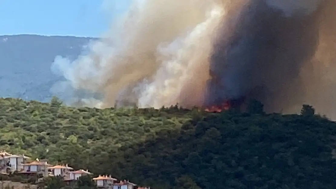 Milas'ın Gürçamlar Mahallesi'nde Orman Yangını Başladı..