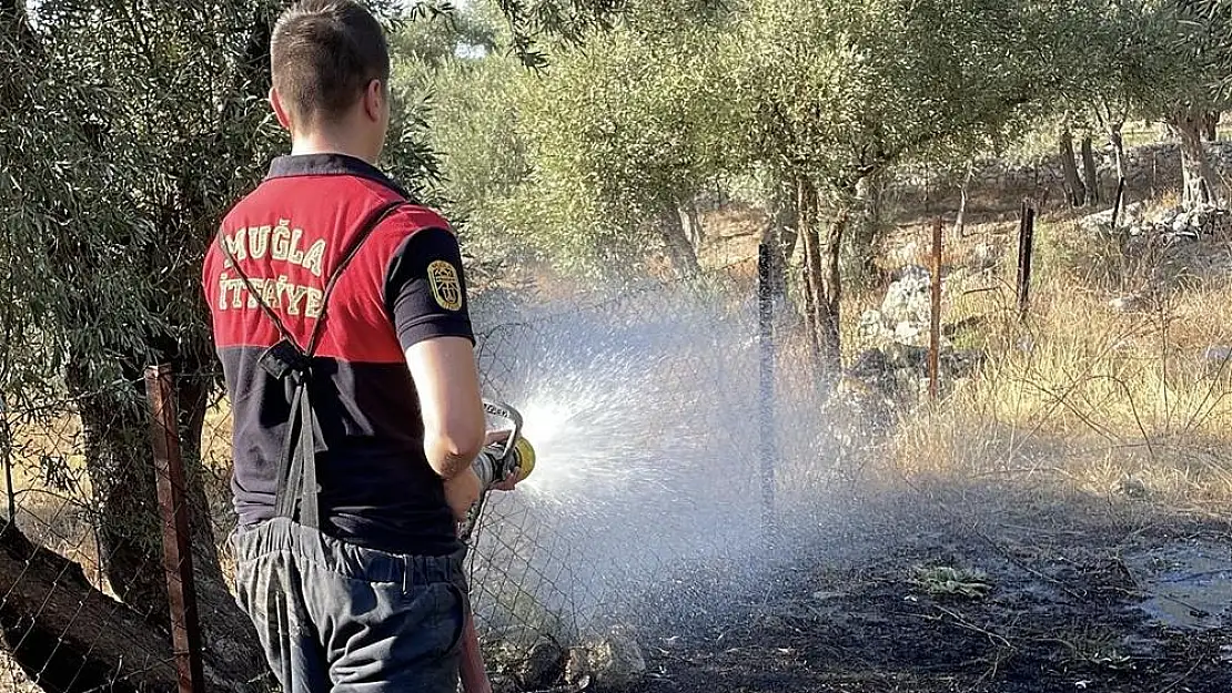 Milas'ın Menteş Mahallesinde Çıkan Yangın Hızlı Müdahale ile Söndürüldü