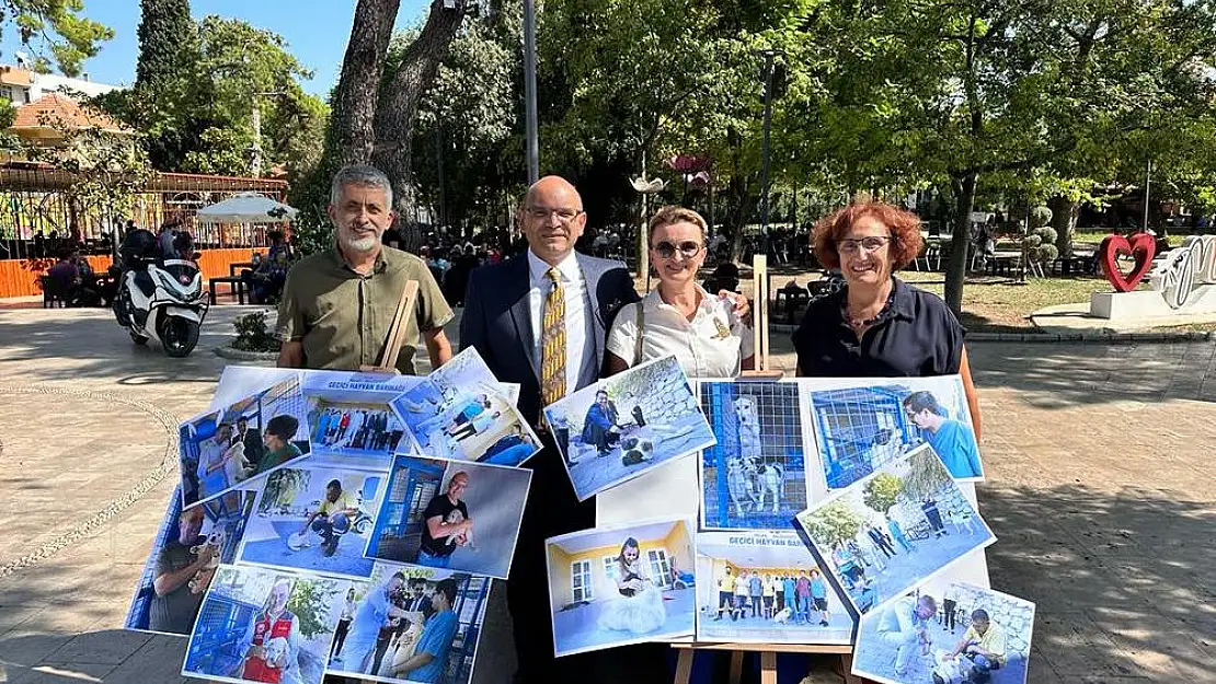 Milaslılar, Sokak Hayvanları İçin Bir Araya Geldi