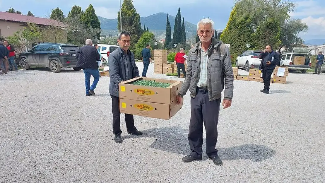 Milas’ta 111 Bin 152 Adet Fide Dağıtıldı