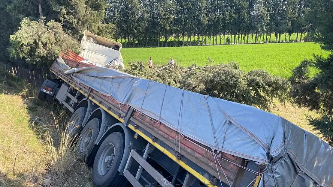 Milas’ta Balık yemi yüklü tır tarlaya uçtu